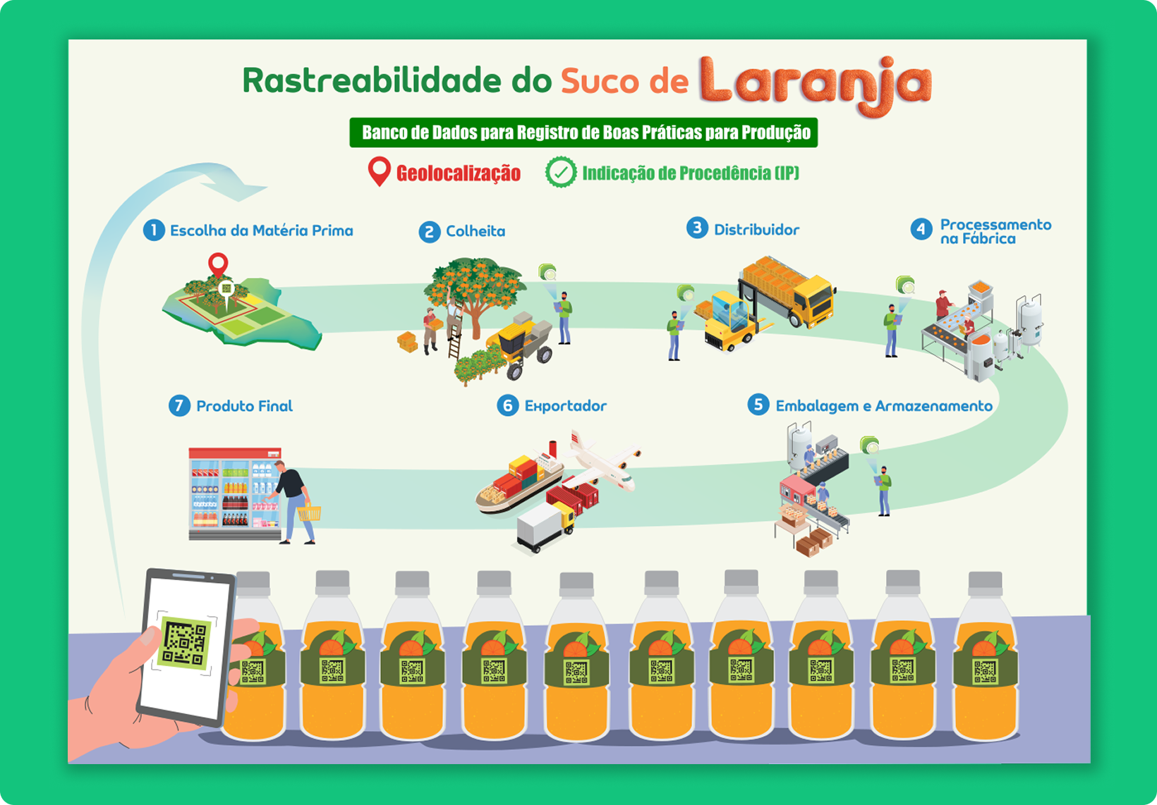 Rastreabilidade da Laranja